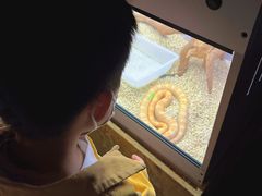 -昆明大悦城未来动物城(螺蛳湾中心店)