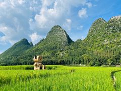 -万峰林风景区
