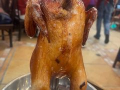 -鸽鸟轩(石岐店)