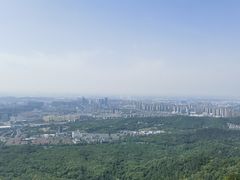 -紫金山山顶公园