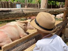 -泉州海丝野生动物世界
