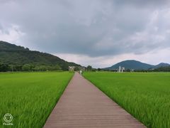 -艾米稻香小镇