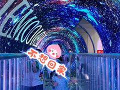 -龙岗区科技馆