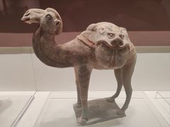 -隋唐大运河文化博物馆