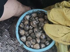 -启东黄金海滩景区