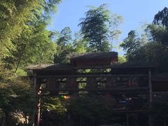 -宁波浙东大竹海景区
