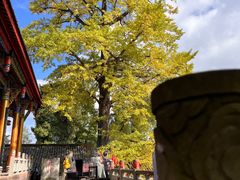 -金堂县云顶石城风景区