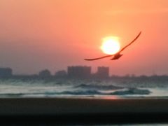 -老虎石海上公园