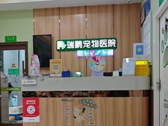 -瑞鹏宠物医院·夜间急症·心超·猫科(祖庙分店)