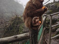 -峨眉山风景名胜区