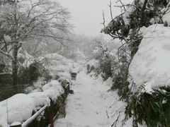 -峨眉山风景名胜区