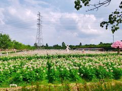 -盈香心动乐园