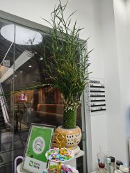 -起点造型·QIDIAN烫染接发