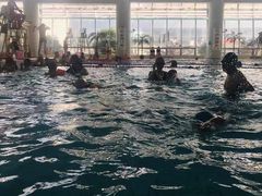 -小海豚国际游泳培训中心(浦东源深体育中心店)