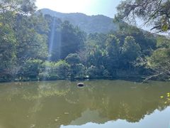 -深圳仙湖植物园