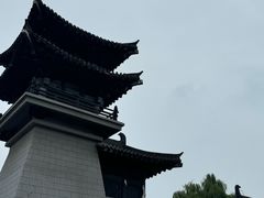 -洛阳市隋唐城遗址植物园