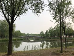 -东郊湿地公园