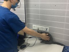 -芭比堂动物医院·心脏专科·夜诊·吉雅分院