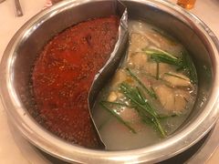 -朱氏胖子烂火锅(洪崖洞店)