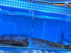 -山海•蒸汽活海鲜自助(皇庭广场店)