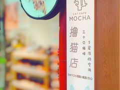 -MOCHA明星猫咖(田子坊店)