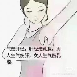 -香薇妮丝女子减肥院