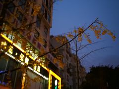 -金色印象·HiFi影音·按摩足疗(龙腾路店)