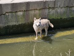 -常州淹城野生动物世界