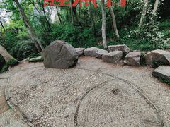 -上海佘山国家森林公园天马山园