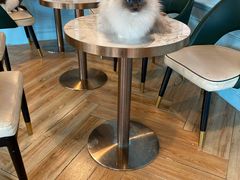 大堂-遇见羊驼·奶狗咖·布偶猫咖·法斗柯基柴犬阿拉斯加(春熙路太古里IFS店)