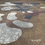 广州·白云｜广州市儿童公园🥳免费🥳