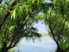 -长兴太湖图影湿地文化园