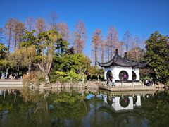 -红梅公园