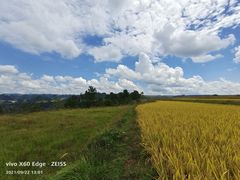 -龙里油画大草原旅游区