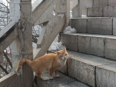 -抱犊寨风景区