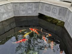 -西安市广仁寺