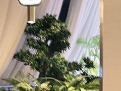 -马家斑.鲜鱼火锅(松湖万科店)
