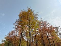 -晓港公园