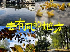 -长广溪湿地公园