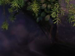 -王捌小院(红花坡店)