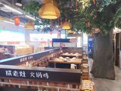 -成老灶火锅鸡(平山店)
