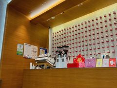 -代数学家algebraist(苏州中心店)