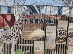 -成都动物园