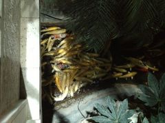 景观位-绿色时代大酒店