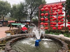 -龙福源密云水库灶台鱼