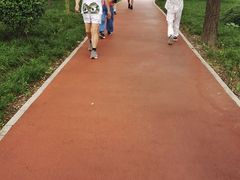 -唐城墙遗址公园