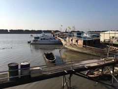 -大湾区中央湿地公园-十九涌
