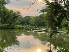 -西溪国家湿地公园