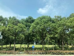 -美兰湖景区