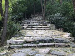 -北京鹫峰国家森林公园